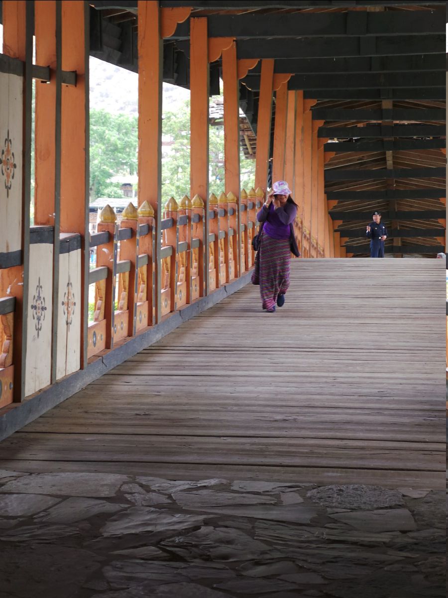 Punakha Dzong130